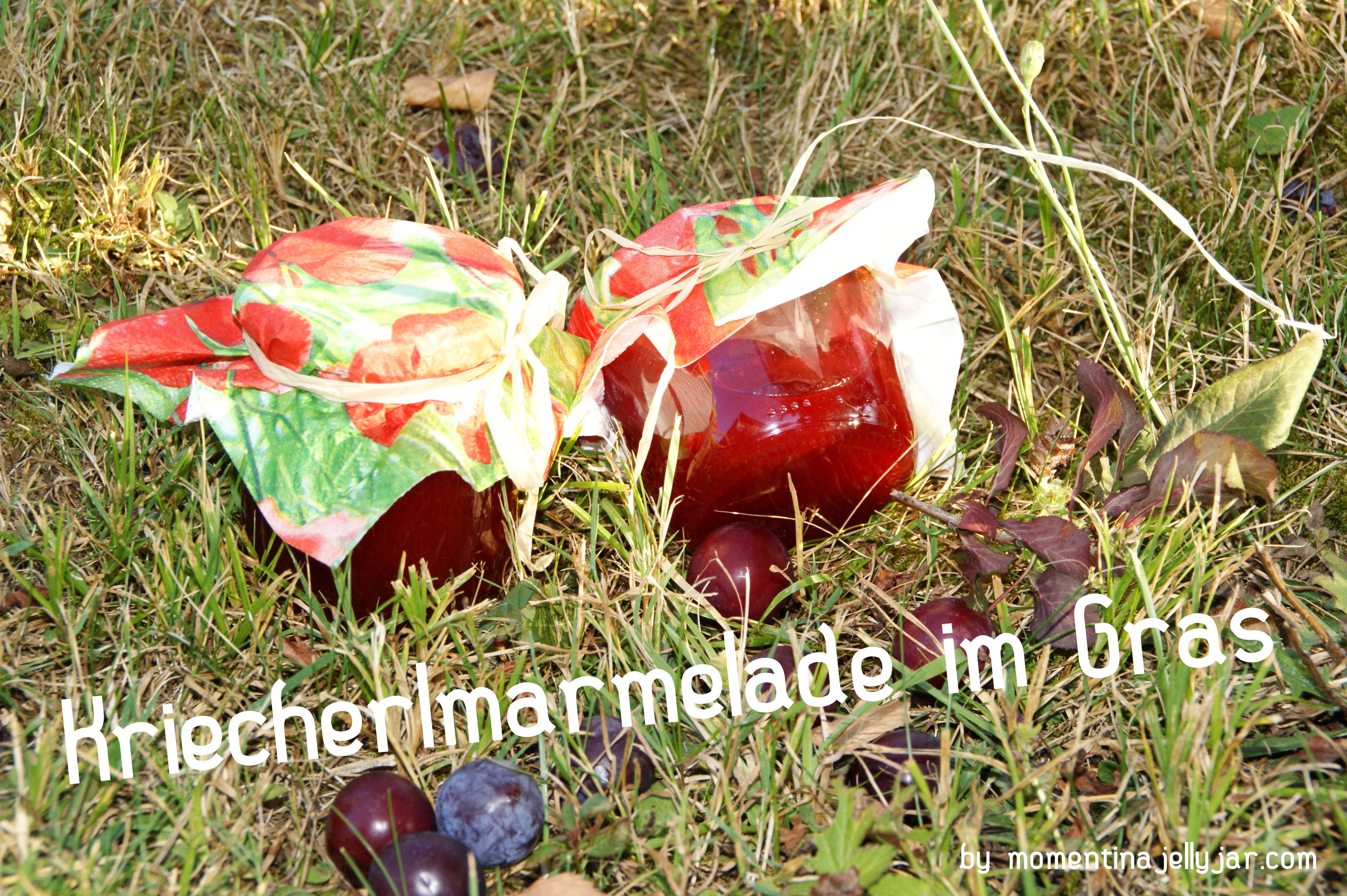 Kriecherlmarmelade mit Orangenlikör