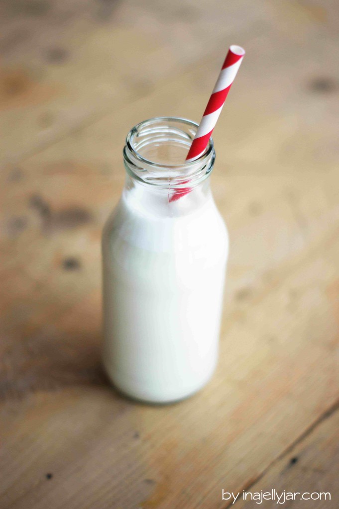 selbstgemachte Cashew-Milch