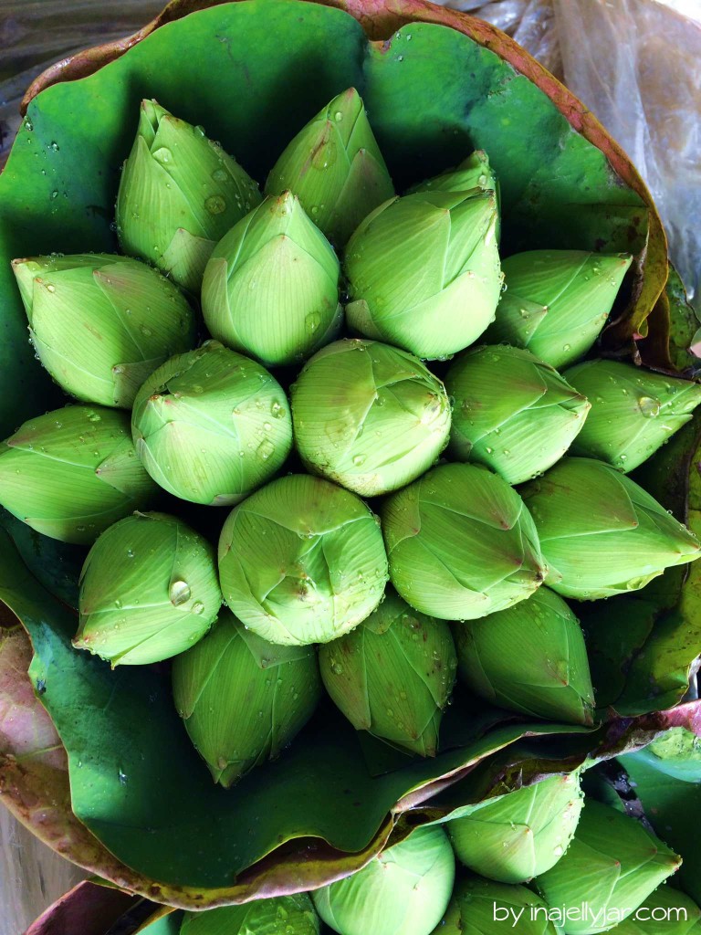 Lotusblüten: Farbenpracht in Chinatown - Bangkok - Thailand