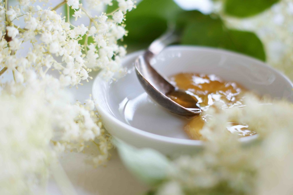Holunderblüten-Gelee | einfach und ganz besonders