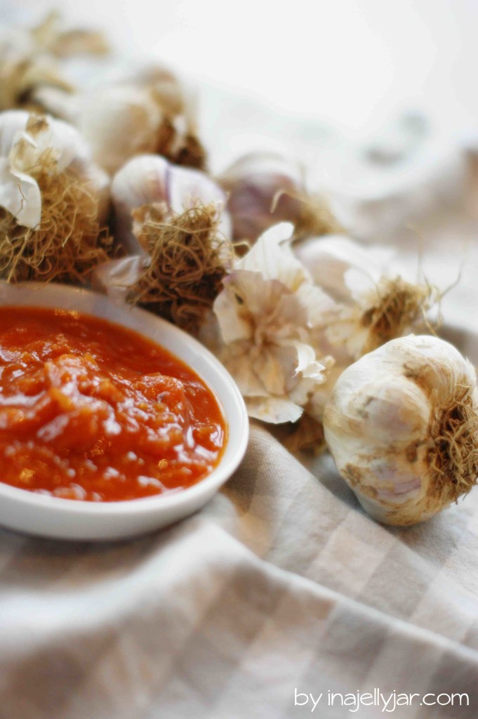 Marillen-Tomaten Ketchup mit ganz vielen Gewürzen und Knoblauch