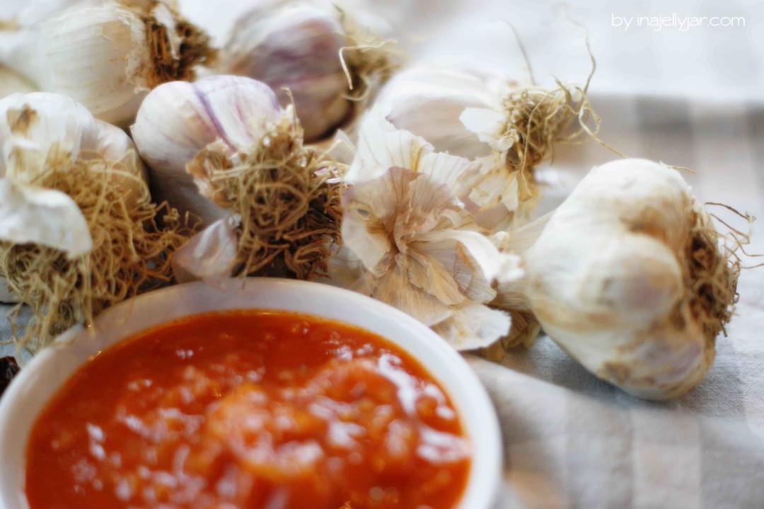 Marillen-Tomaten Ketchup mit ganz vielen Gewürzen und Knoblauch