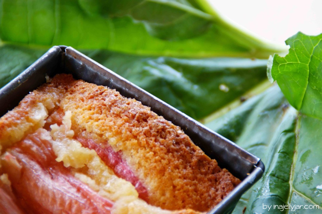 Rhabarberkuchen mit Orangenwasser
