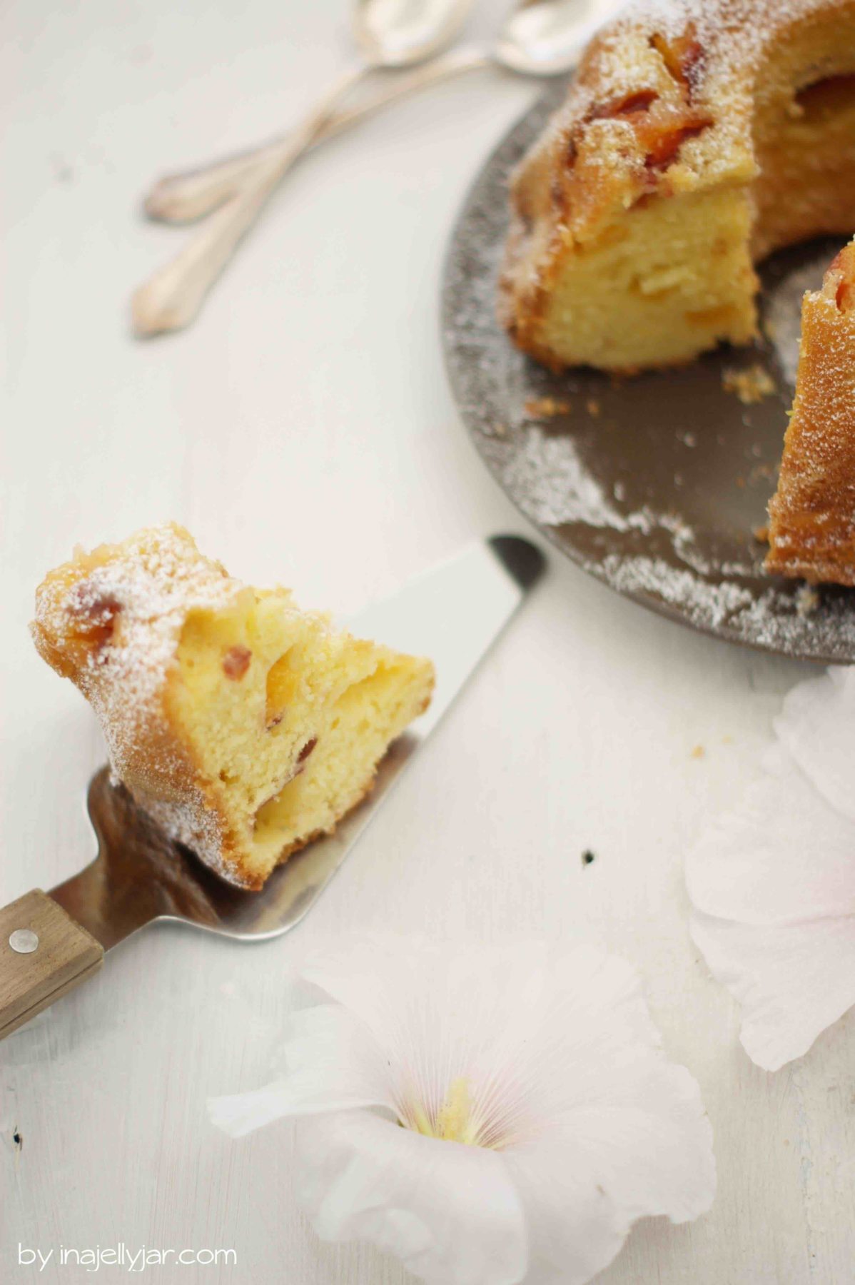 Einfacher Pfirsich-Guglhupf | saftig, fruchtig, locker