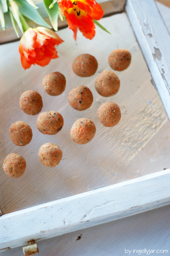 gesunde Energyballs
