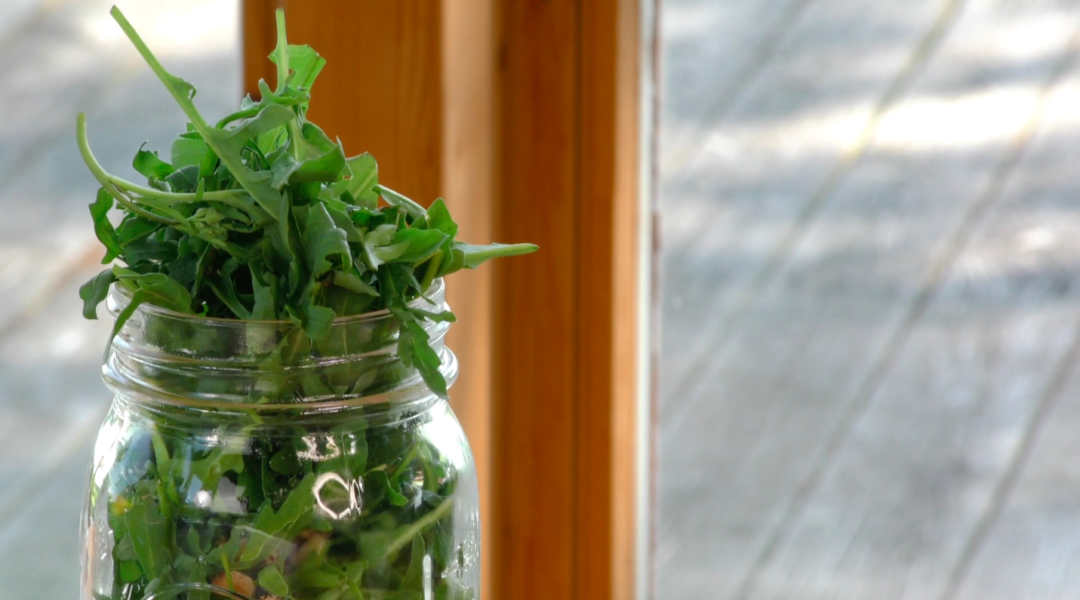 Schichtsalat mit Mango | moment in a jelly jar