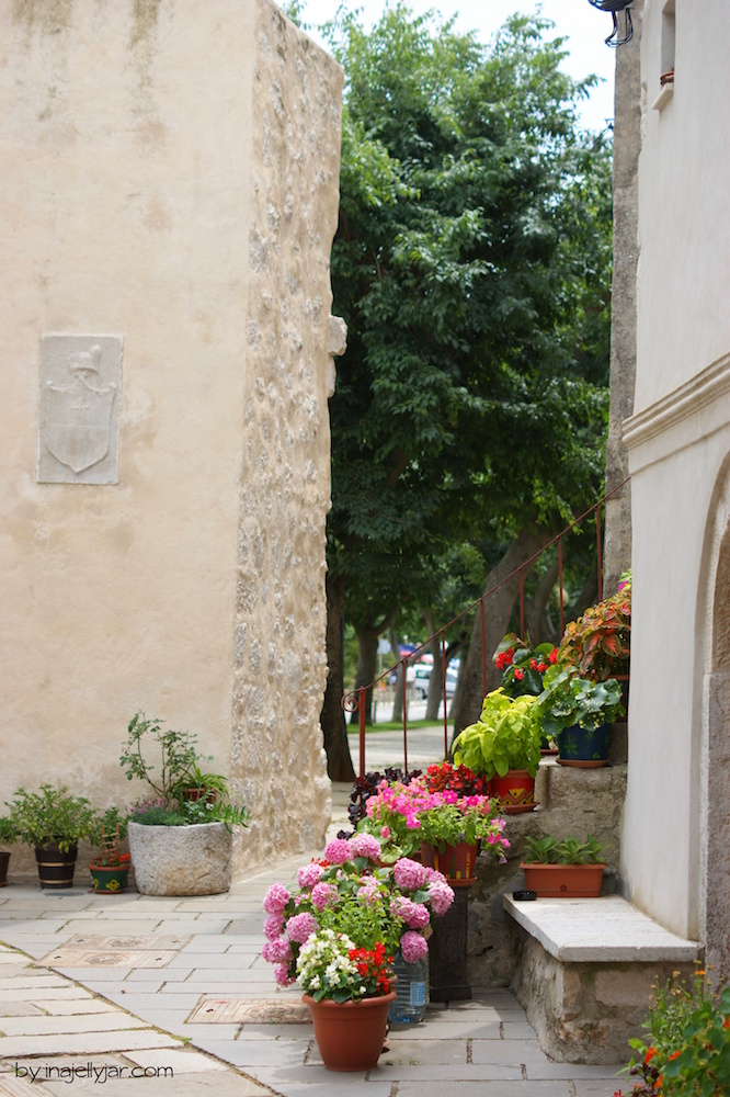 Stadt Cres Blumen