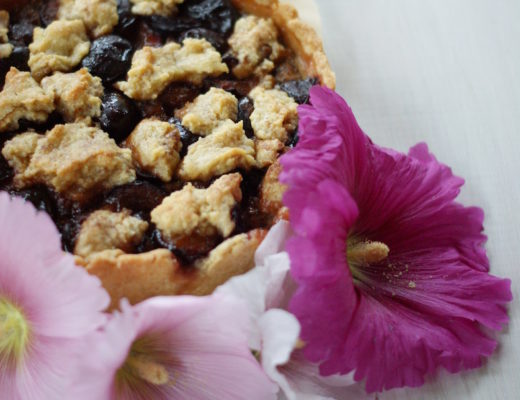saftige Zwetschgen-Topfen-Tarte