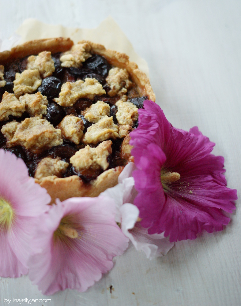 saftige Zwetschgen-Topfen-Tarte