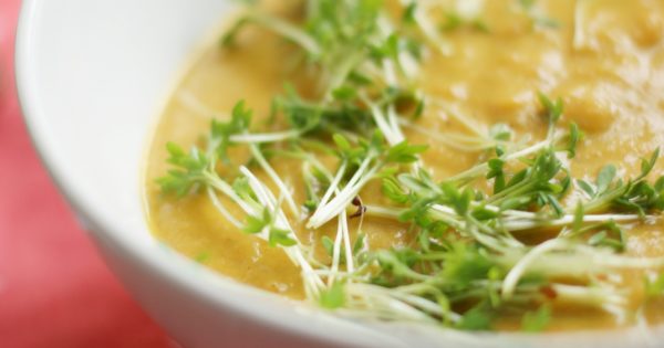 Asiatische Karottensuppe Vegan - Rezepte Suchen