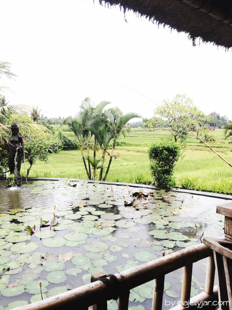 Fischteich im Karsa Kafe, Ubud in Bali